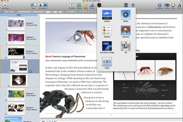 iBook Author