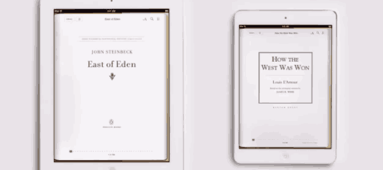 lire sur un ipad mini est mieux que sur un ipad normal