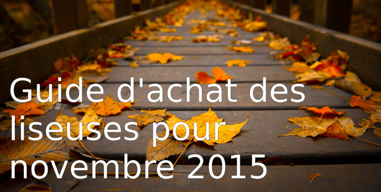 uided 'achat des liseuses pour novembre 2015