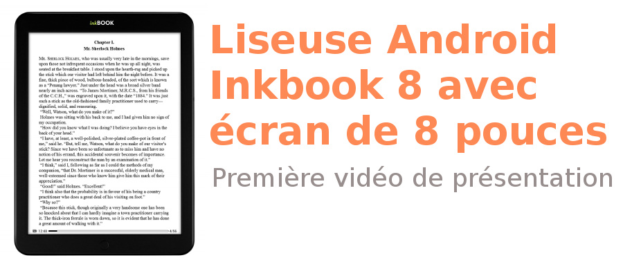 Liseuse Inkbook 8