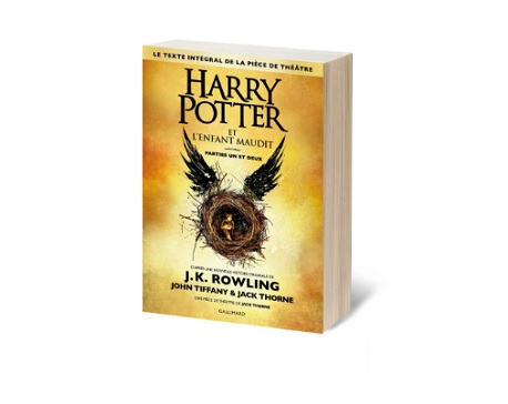 couverture livre harry potter 8