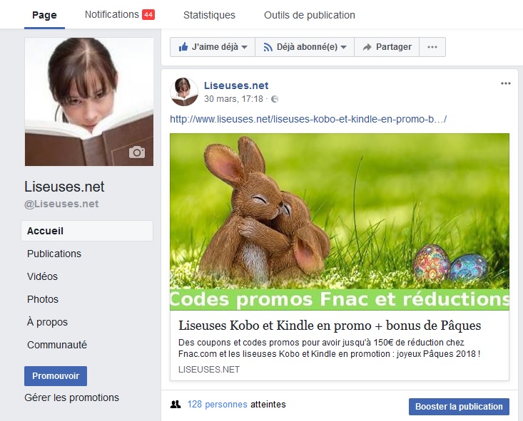 page facebook liseuses