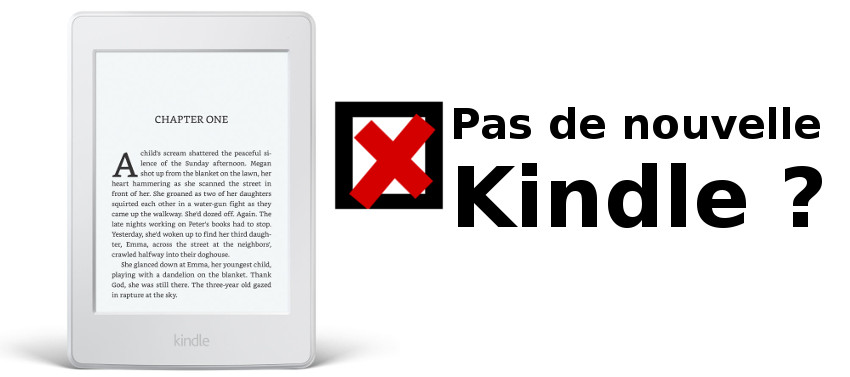 pas de nouvelle Kindle en 2017