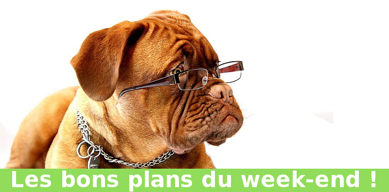 Les bons plans du week-end