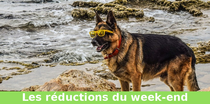 réduction du week-end