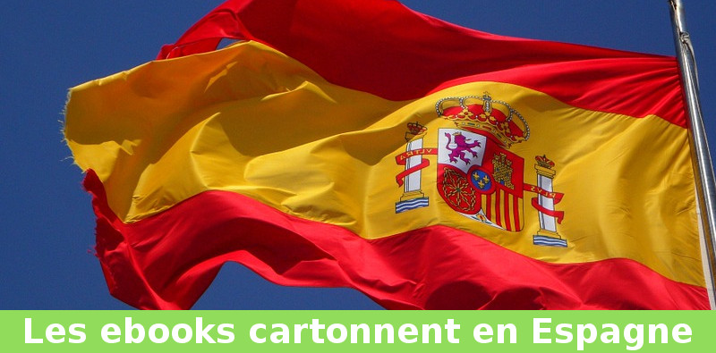 ventes ebook en espagne