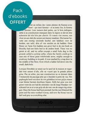 liseuse vivlio InkPad 3