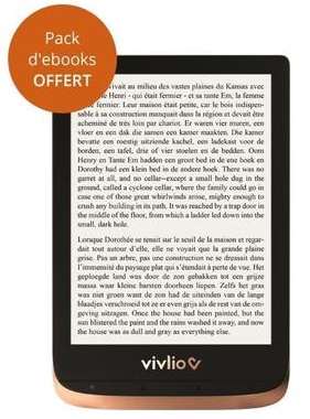 liseuse vivlio touch hd Plus