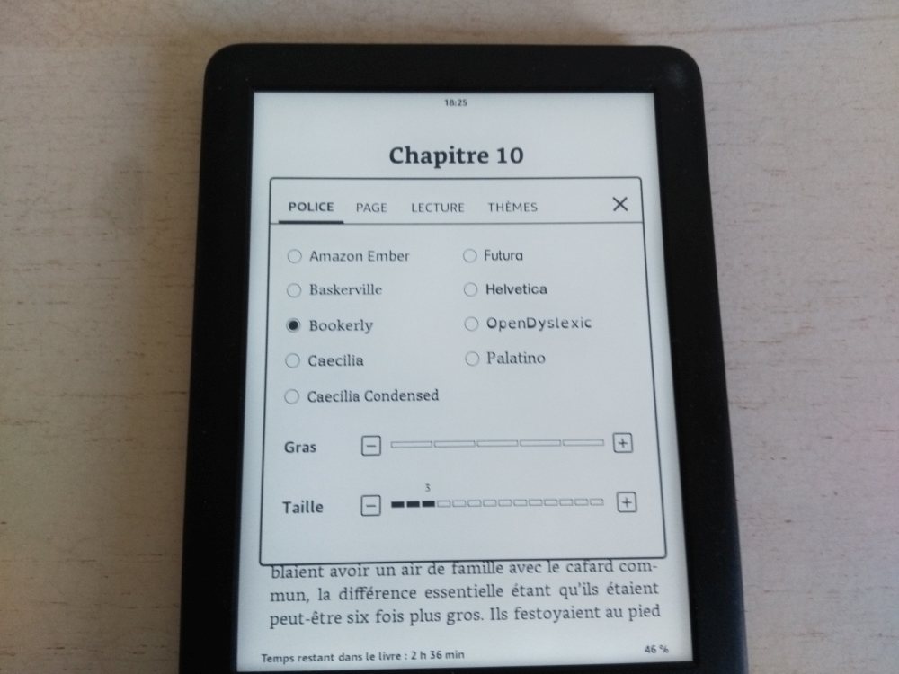 Liseuse Kindle 2019 avec éclairage disponible