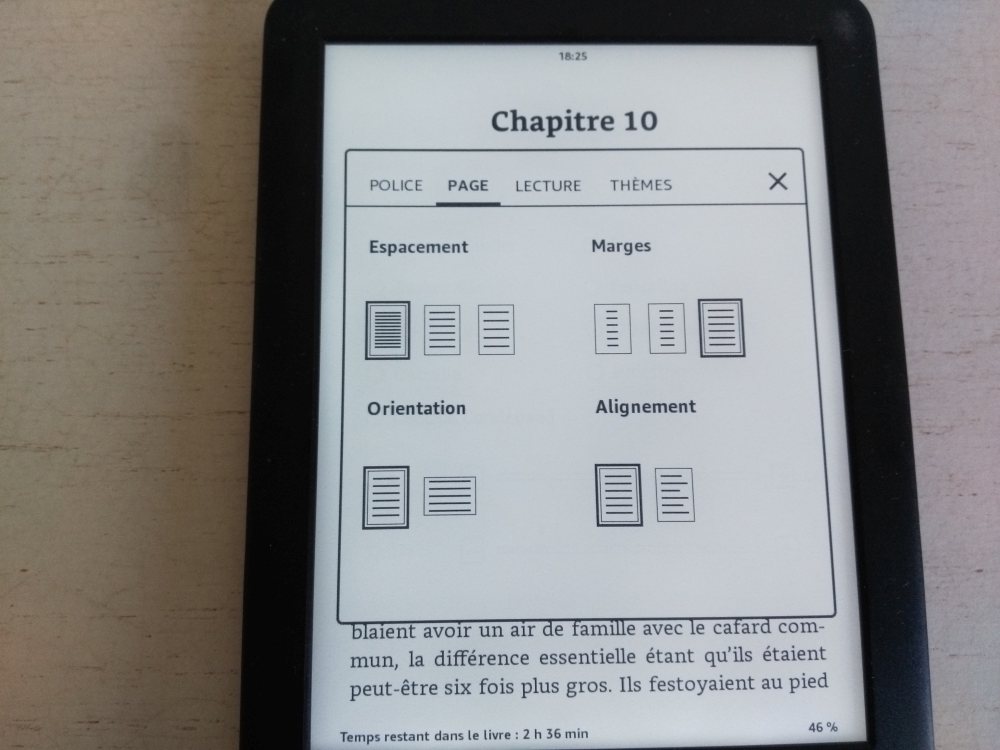 Test  Kindle (2019) : une liseuse incontournable qui ne se démode pas  - Les Numériques