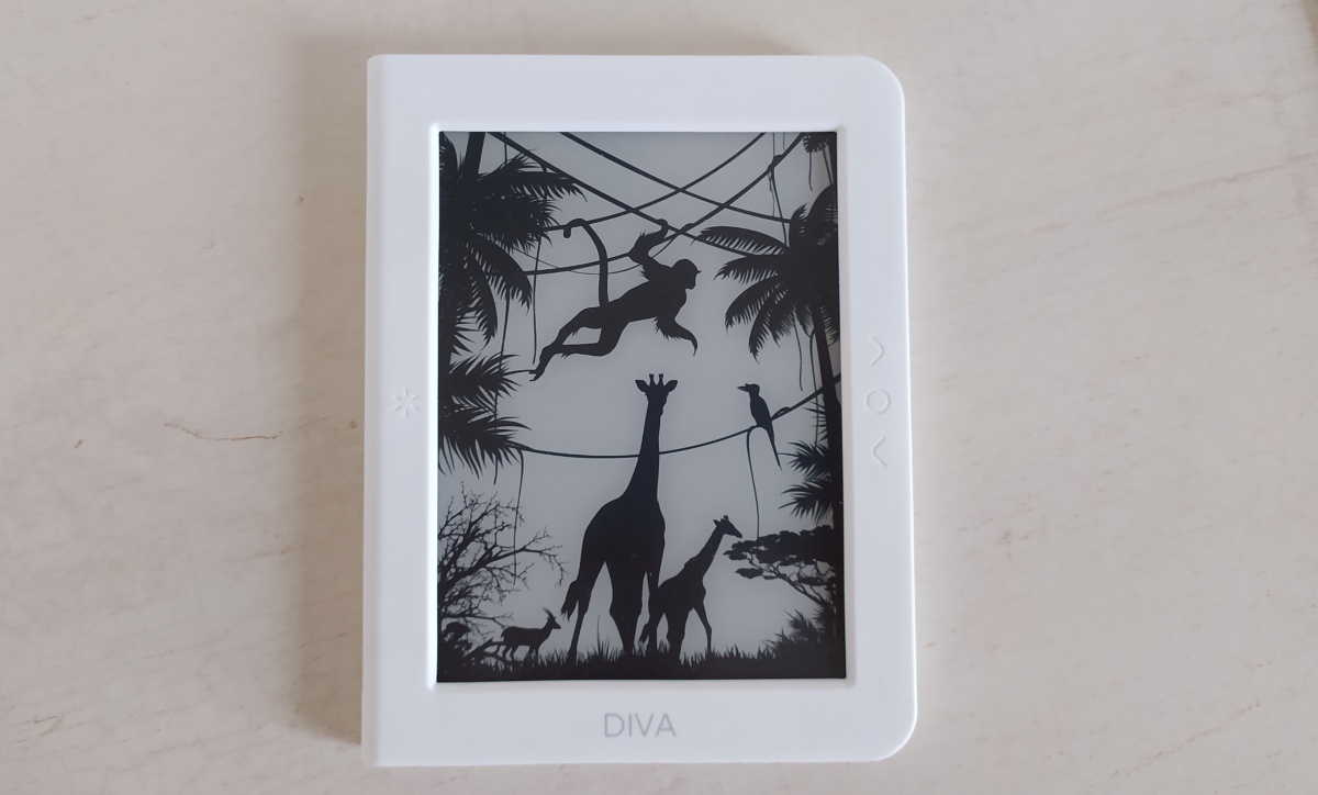 ereader Bookeen Diva