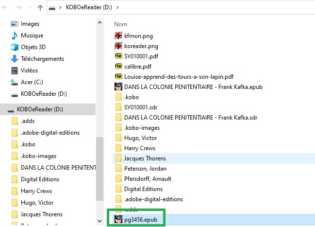 On peut simplement copier un fichier ".epub" sur sa liseuse Kobo