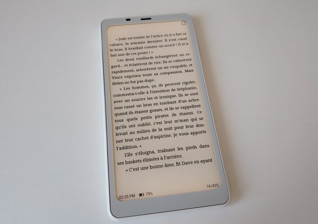 test boox palma 2
